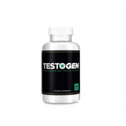 TestoGen